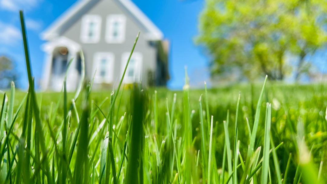 Evergreen Property Management: What Property Managers Need to Know in 2026