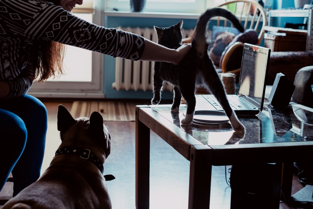 If You Have A Pet In Your Apartment, You May Be Asked To Pay Extra When You Sign Your Lease Agreement. What’s The Difference Between A Pet Fee, Pet Deposit And Pet Rent?: What Property Managers Need to Know in 2025